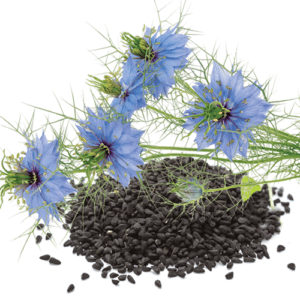 Raw black seed
